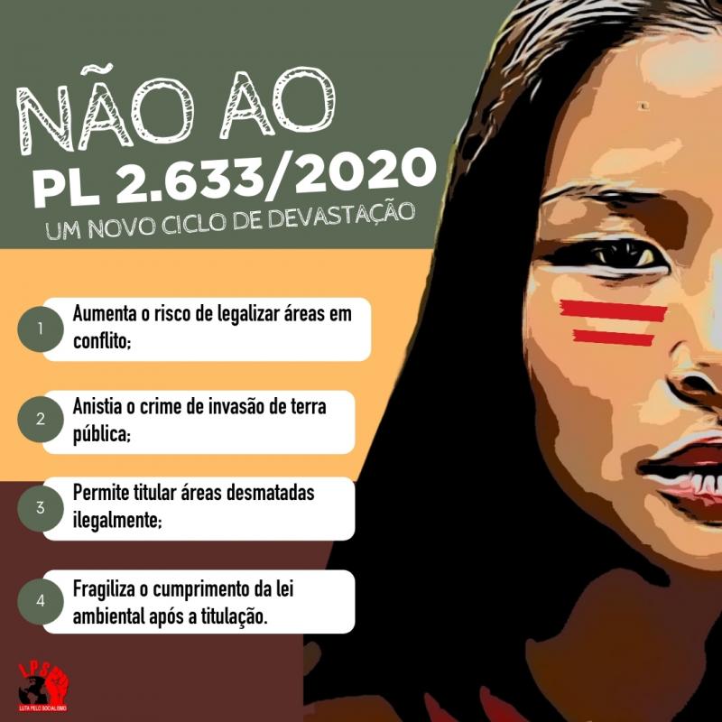 PL da Grilagem: avano do massacre indgena