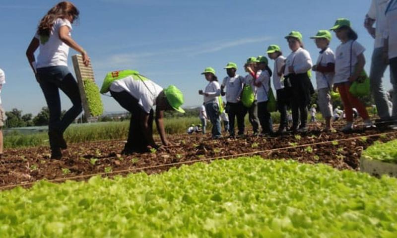 Encontro Nacional da Educao do Campo em...