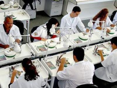 A nefasta herana do governo Bolsonaro na...