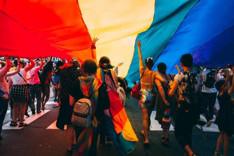 Despolitizao da comunidade LGBTQIAPN+ e...