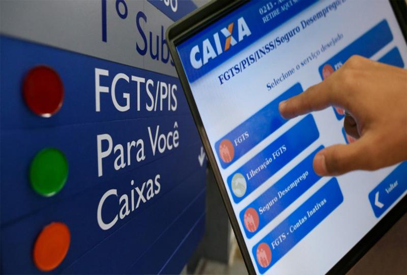 O voo da galinha que vai cair na cabea do...